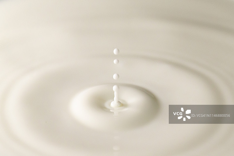 鲜奶滴溅在牛奶池中。白色背景。与圈涟漪。图片素材