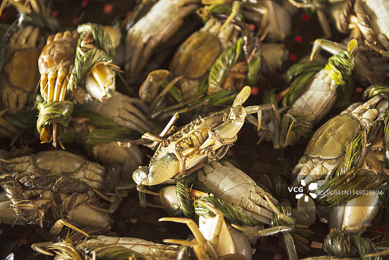 特写螃蟹在一个市场摊位，越南图片素材