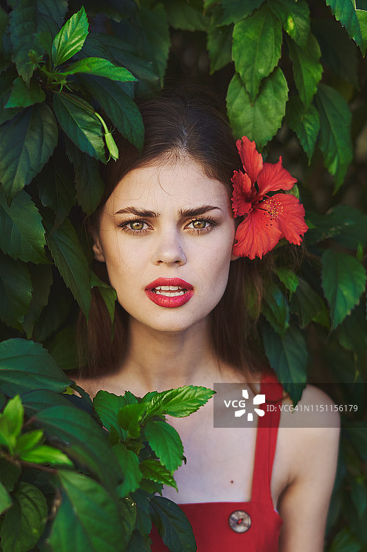 一个女孩在植物里的肖像，头上戴着一朵红色的花，看着镜头图片素材