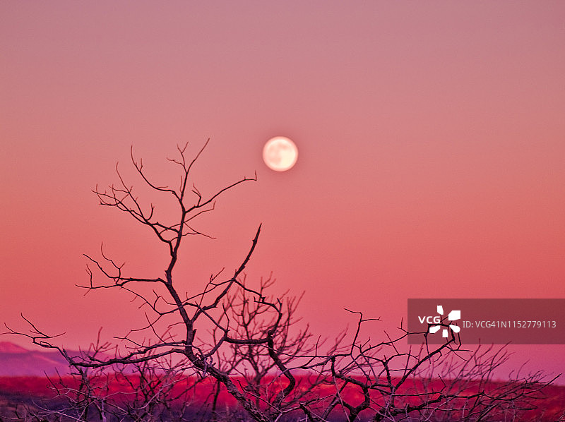 满月时的秋天沙漠日落图片素材
