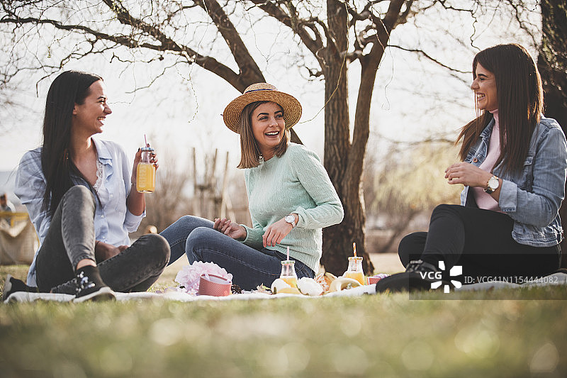 妇女们在公园里野餐图片素材