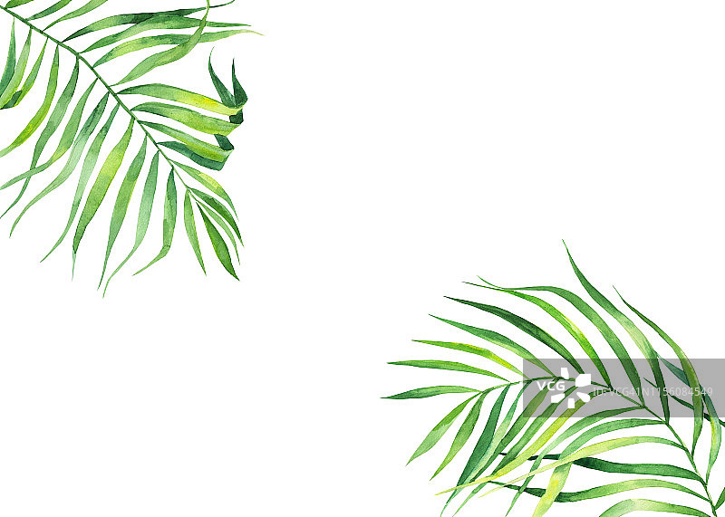 背景框架在水彩风格。异国情调的椰子树叶。自然的打印。明亮的绿色热带框架，贺卡，网页设计。图片素材