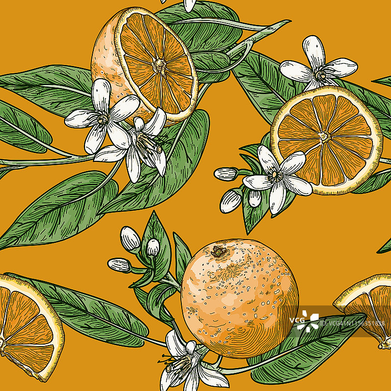 柑橘和橙花复古风格无缝模式图片素材