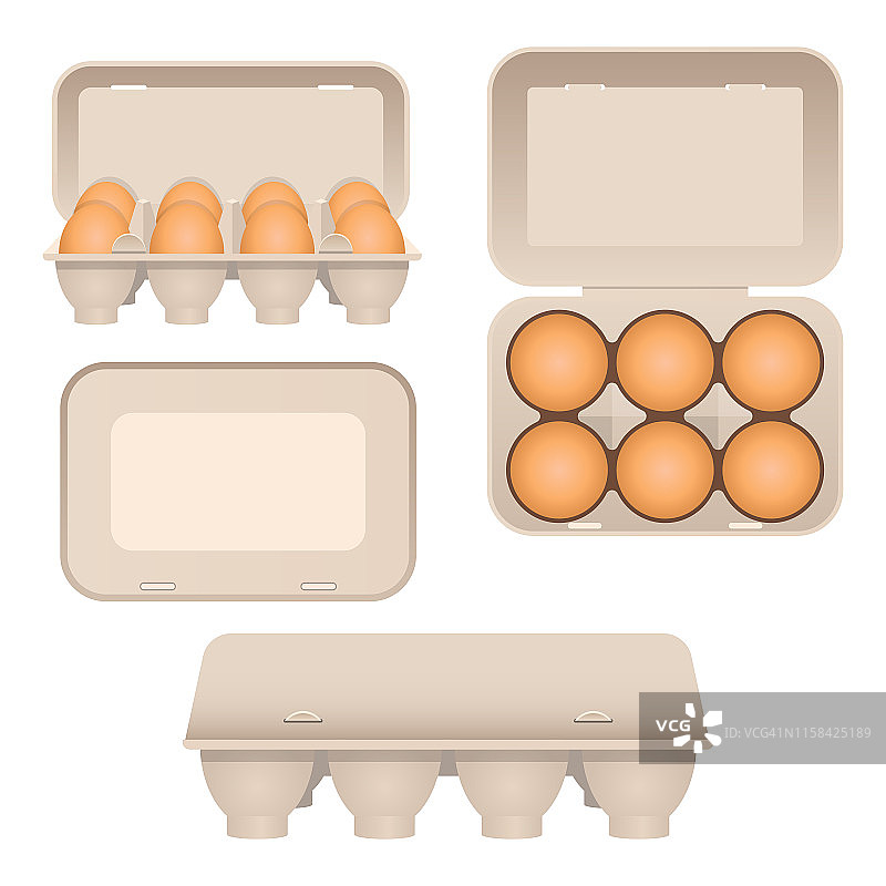 鸡蛋在纸箱矢量设计插图孤立在白色的背景图片素材