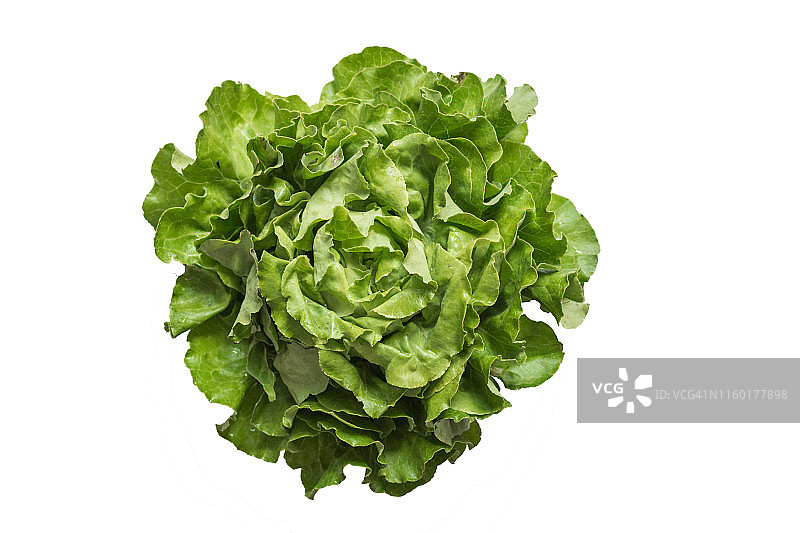 成熟的有机蔬菜沙拉罗马诺孤立在白色背景。图片素材