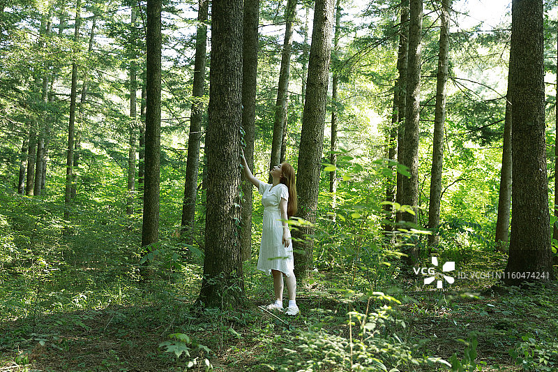 一个年轻女子在森林里触摸树干图片素材