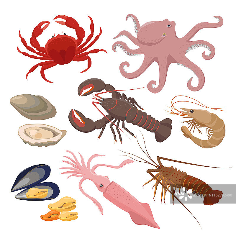 海鲜矢量插图在平面设计孤立在白色背景。矢量图标贻贝，虾，鱿鱼，章鱼，龙虾，螃蟹，软体动物，牡蛎图片素材