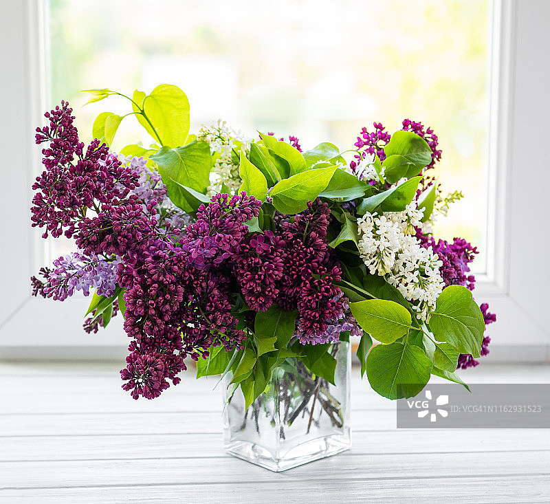 把紫丁香束在花瓶里图片素材