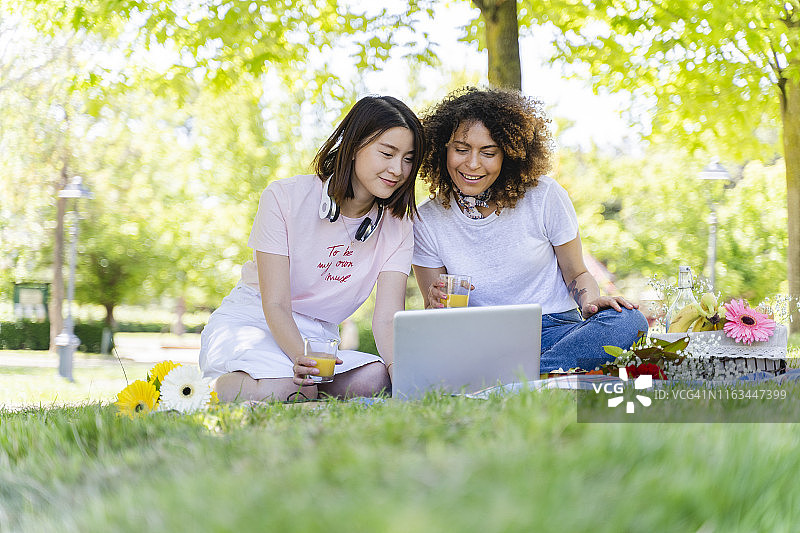 两个女人在公园野餐，用笔记本电脑图片素材