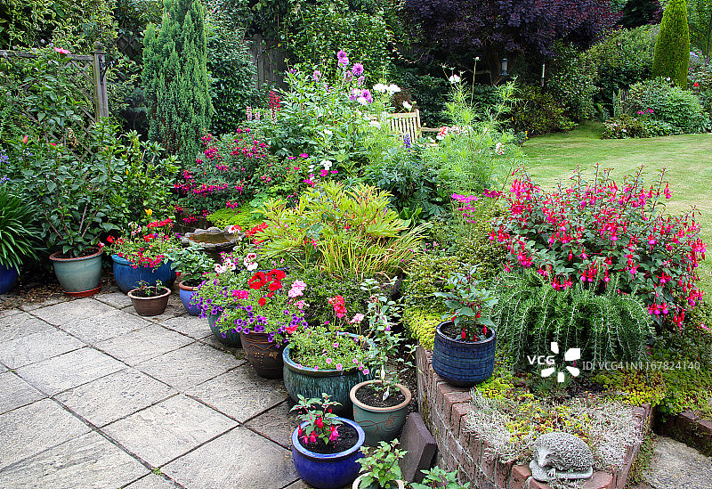 庭院和花坛明亮的花在英国花园。图片素材