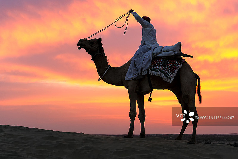 在塔尔沙漠日落时，印度人骑着骆驼图片素材