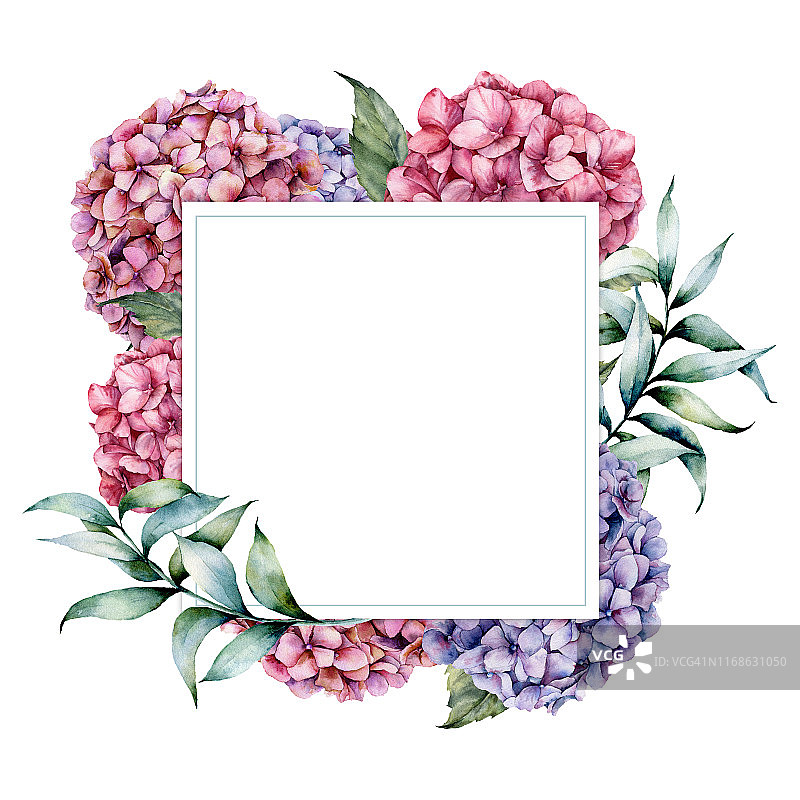 水彩绣球和桉树叶的边界。手绘植物卡与树枝和花孤立在白色背景。花卉插图设计，印刷，织物或背景。图片素材