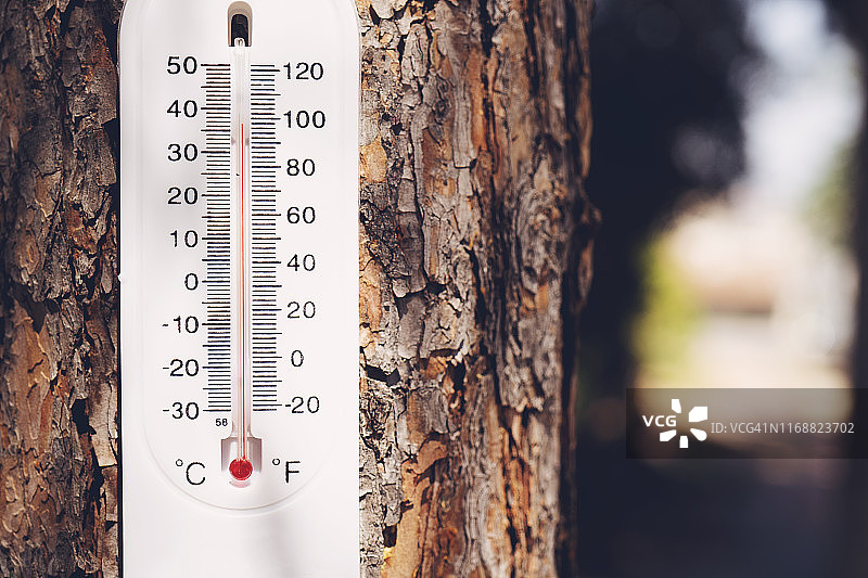 挂在树上的白色温度计显示天气晴朗时室外的温度。图片素材