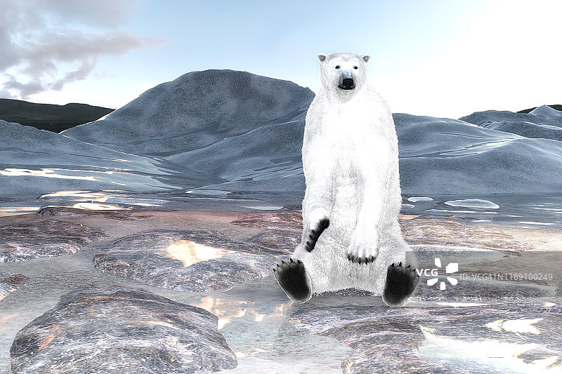 数码3D插图的北极熊图片素材