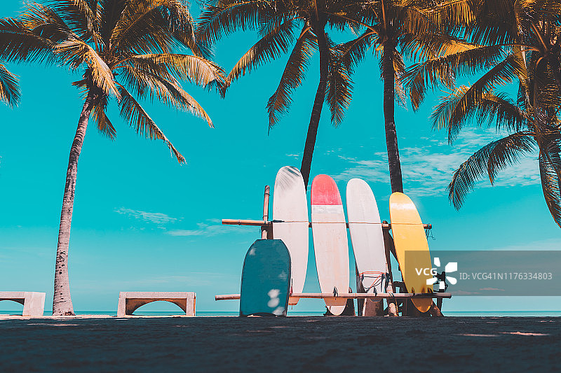 冲浪板和沙滩上的棕榈树。旅游冒险运动和暑假概念。图片素材