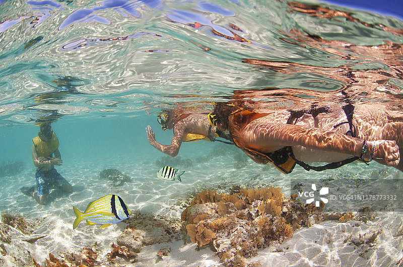 在导游的陪同下在加勒比海浮潜图片素材