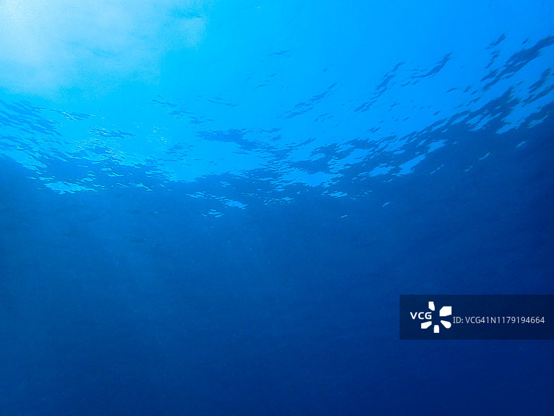 水下和深蓝色的海洋背景图片素材
