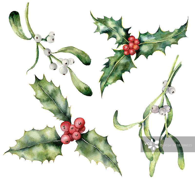 水彩冬青和槲寄生圣诞集。手工绘制的节日植物，红色和白色的浆果孤立在白色的背景。冬季植物插画设计，印刷，背景。图片素材