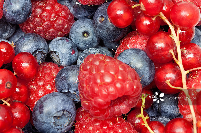 覆盆子，蓝莓和红加仑子图片素材
