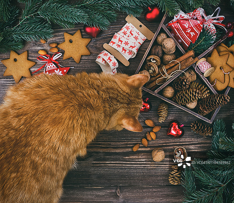 圣诞节装饰与姜猫木制背景。平躺组成图片素材