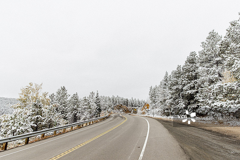 空旷的道路中树木对晴朗的天空在森林在冬天减少的观点图片素材
