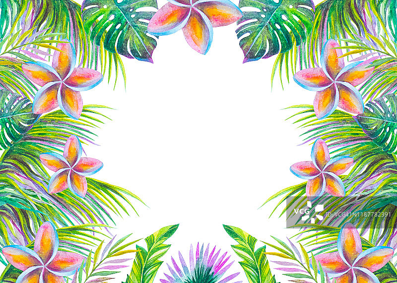 用热带树叶和花朵做成的水彩画框架图片素材