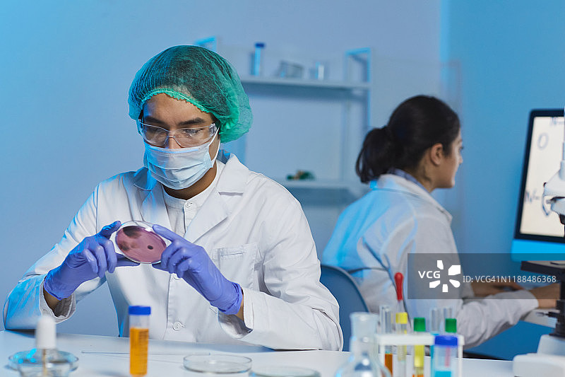 严肃专注的年轻亚洲男性细菌学家戴着手术帽和口罩坐在桌子上，分析培养皿中的细菌细胞图片素材
