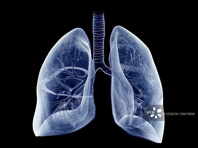 肺癌、插图图片素材
