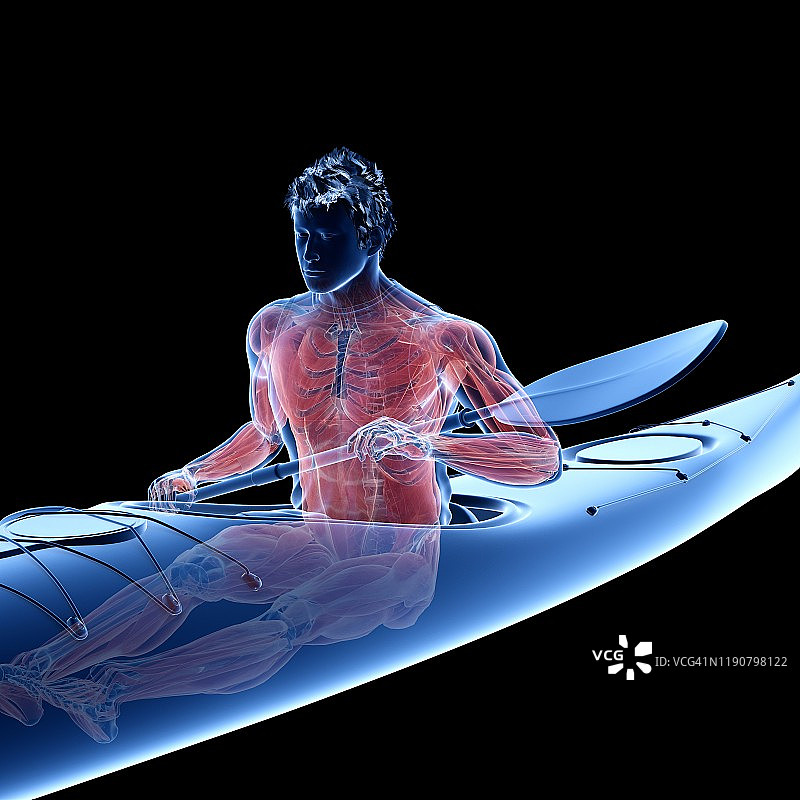 划独木舟的人的肌肉,插图图片素材