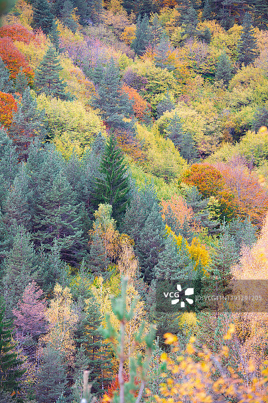 色彩斑斓的秋天图片素材