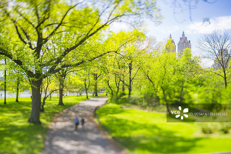 2019年5月8日，美国纽约，中央公园的草坪上，绿树环绕。图片素材