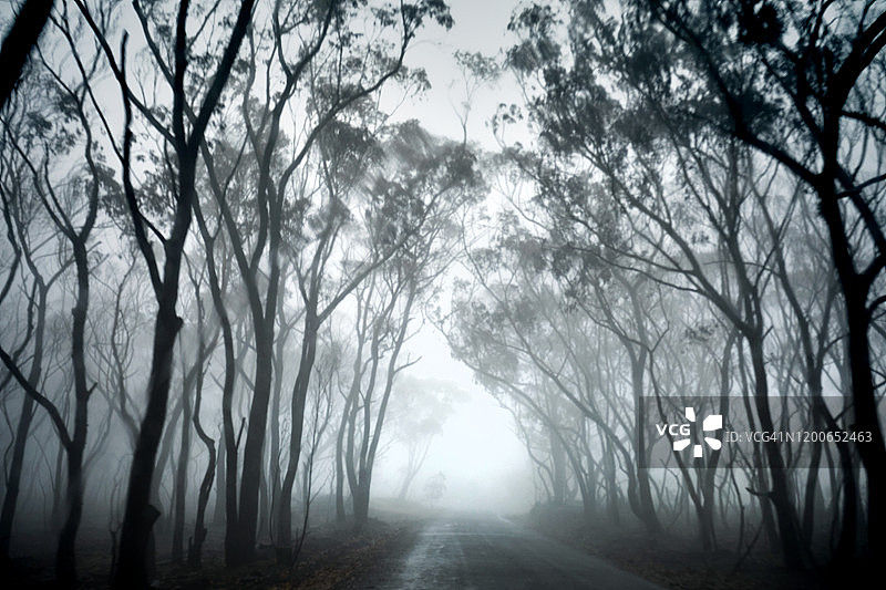 驾车行驶在烟雾、雾、雾和雨弥漫的黑暗森林中的乡村道路上图片素材