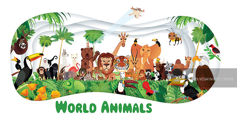 热带雨林和世界动物图片素材