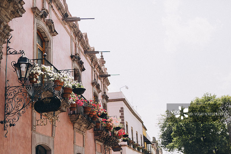 在墨西哥克雷塔罗市中心的殖民风格建筑上，阳台装饰着五颜六色的三角梅图片素材