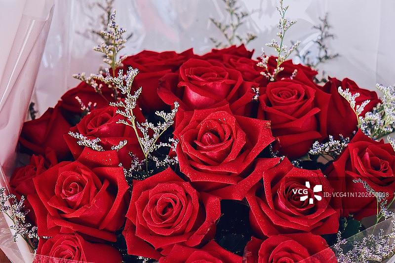 全框拍摄的红玫瑰花束，德国，欧洲图片素材