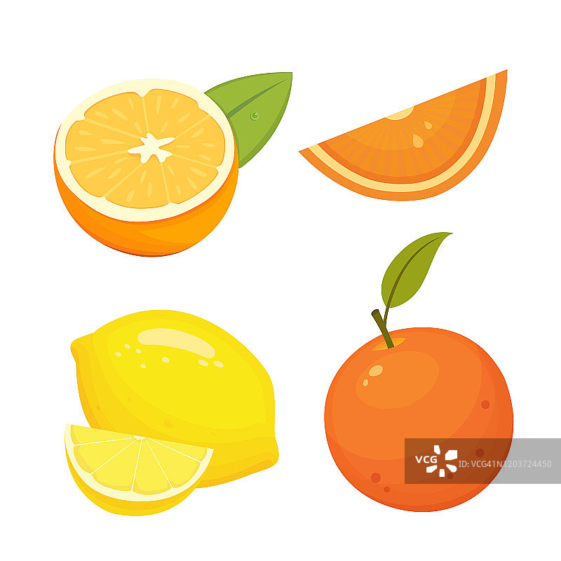 鲜柑橘类水果分离病媒植物与橘子，柚子，橙子，柚子。维生素C的概念。图片素材