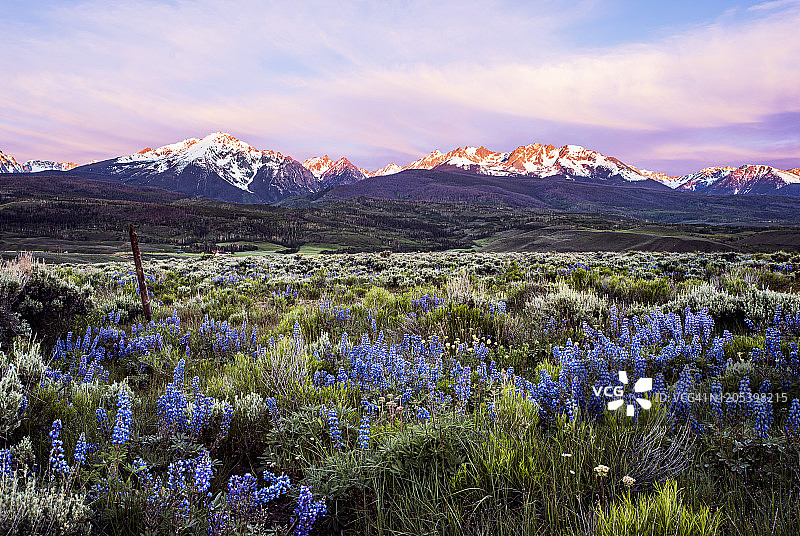 科罗拉多的野花和血腥的山脉图片素材