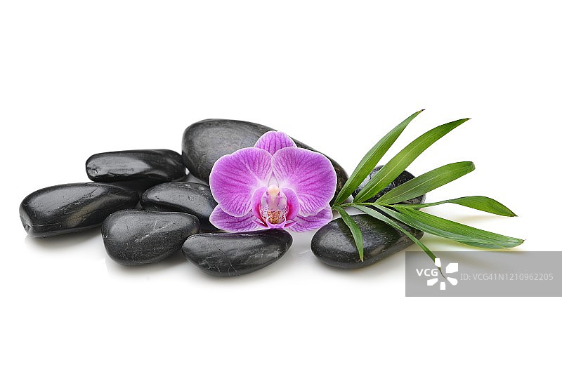 黑色的石头，白色的花和竹叶图片素材