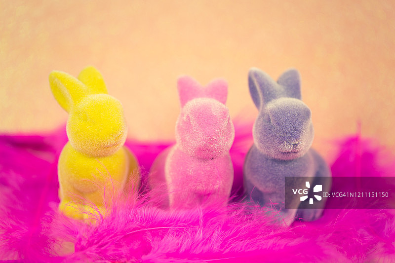 粉红色的复活节兔子戴着粉红色的羽毛图片素材