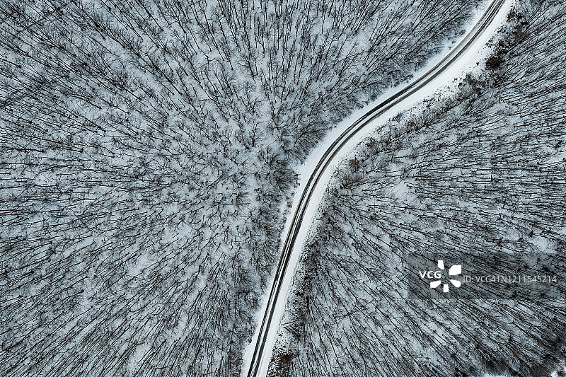 一条道路穿过白雪覆盖的森林图片素材