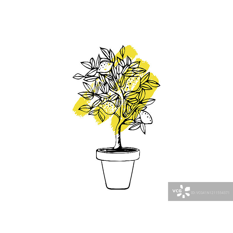 柠檬树与油漆笔画在白色的背景为不同的设计。图片素材