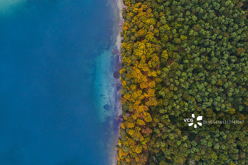 德国，秋初，航拍湖边的森林图片素材