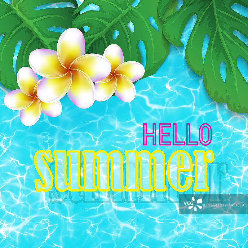 热带鸡蛋花漂浮在湛蓝的水面上。漂亮的传单上写着“你好夏天”。夏季装饰与现实的热带元素。热带国家的季节性度假概念。图片素材