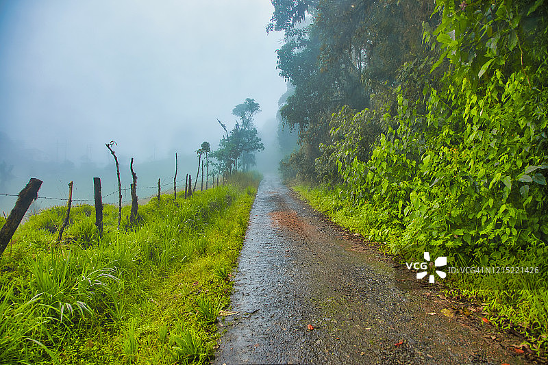 安第斯山脉热带雨林的直路图片素材