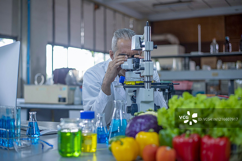 食品质量控制专家在实验室检查食品杂货标本图片素材