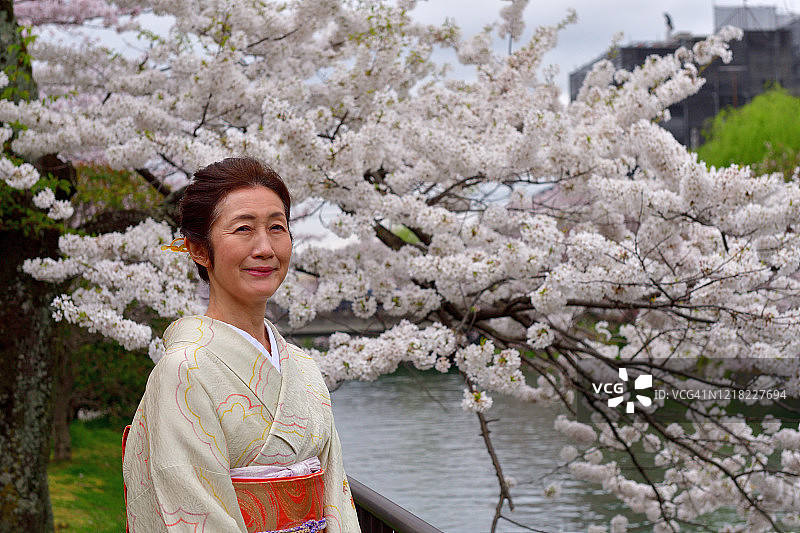 穿着和服的日本妇女在京都欣赏樱花图片素材