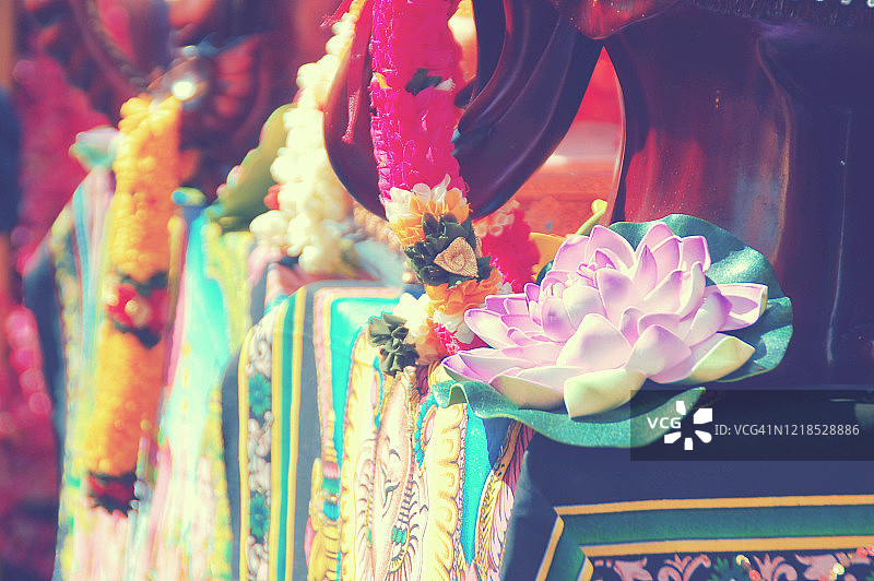 巴黎象头神节上的莲花图片素材