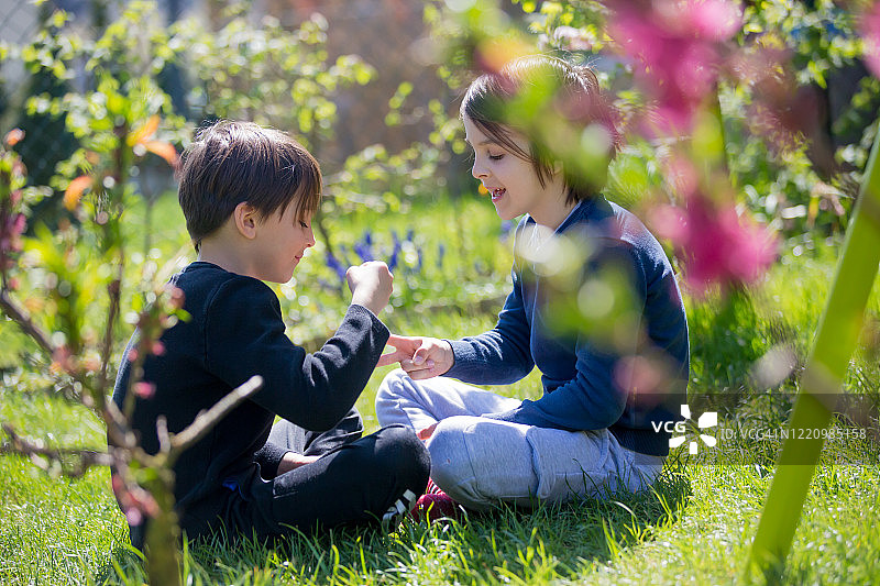 两个孩子，男孩兄弟，在花园里玩石头、剪刀、布游戏图片素材