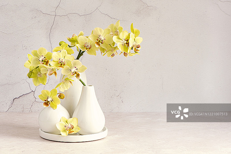 美丽的黄色兰花在三个白色花瓶的静物图像图片素材