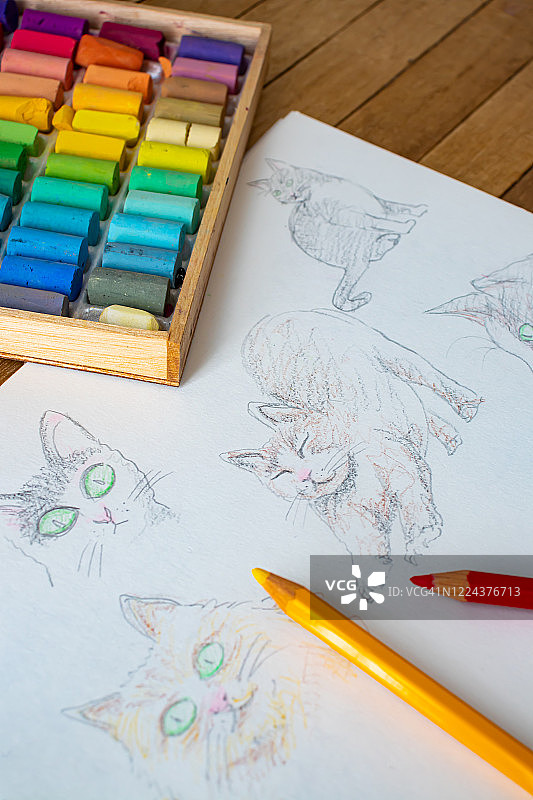蜡笔和猫画在速写本。图片素材